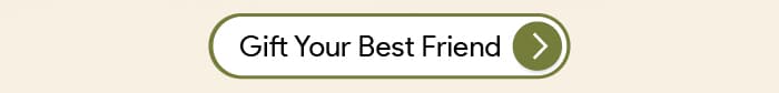 Leading UAE Florist for Gift and Flower Delivery
