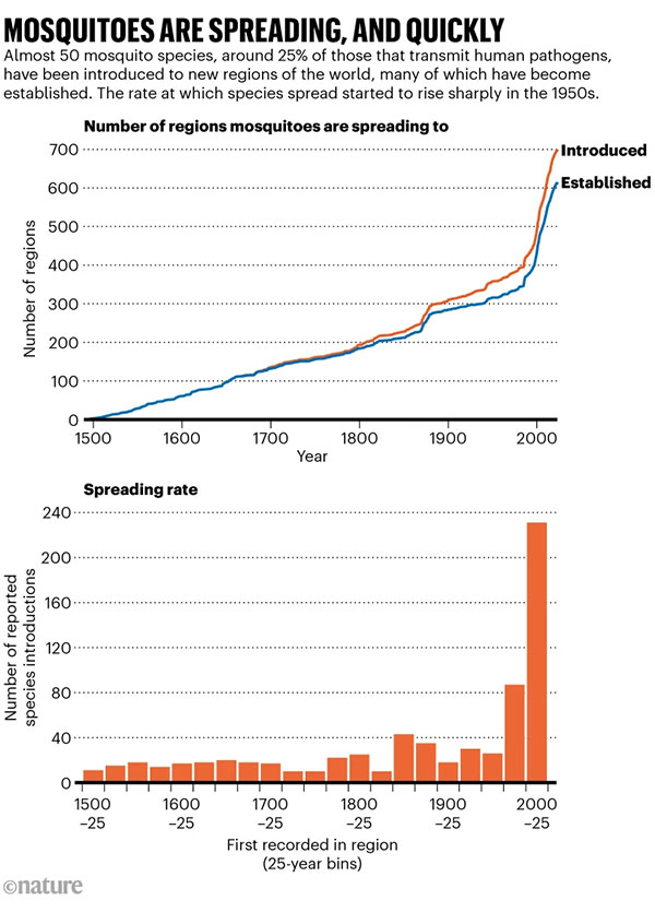 A chart showing the number of regions mosquitoes are spreading to and the spreading rate over the last five hundred years. Almost 50 mosquito species, around 25% of those that transmit human pathogens, have been introduced to new regions of the world, many of which have now become established. The rate at which species spread started to rise sharply in the 1950s.