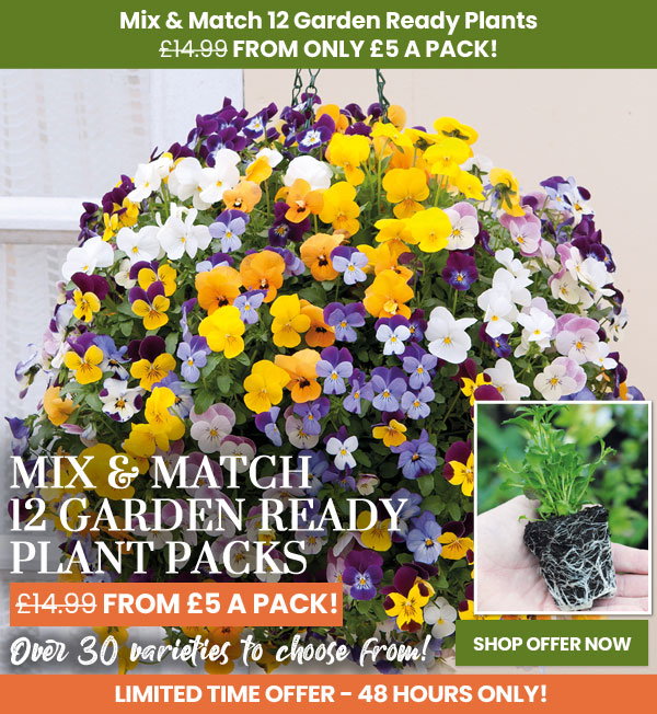 Garden Ready Mix & Match