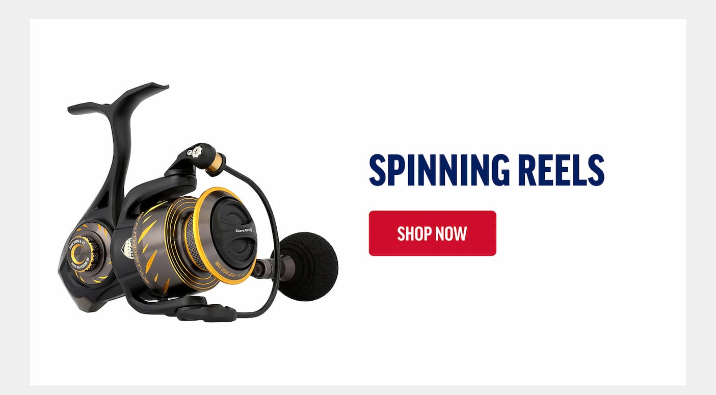 Spinning Reels