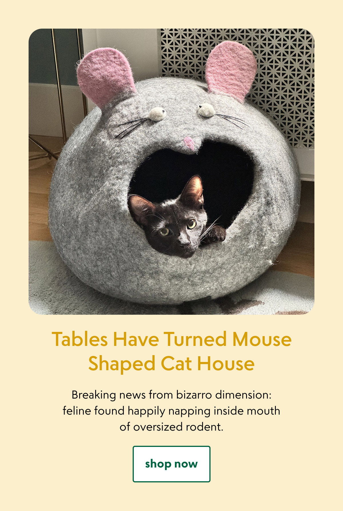 tables-have-turned-mouse-shaped-cat-house