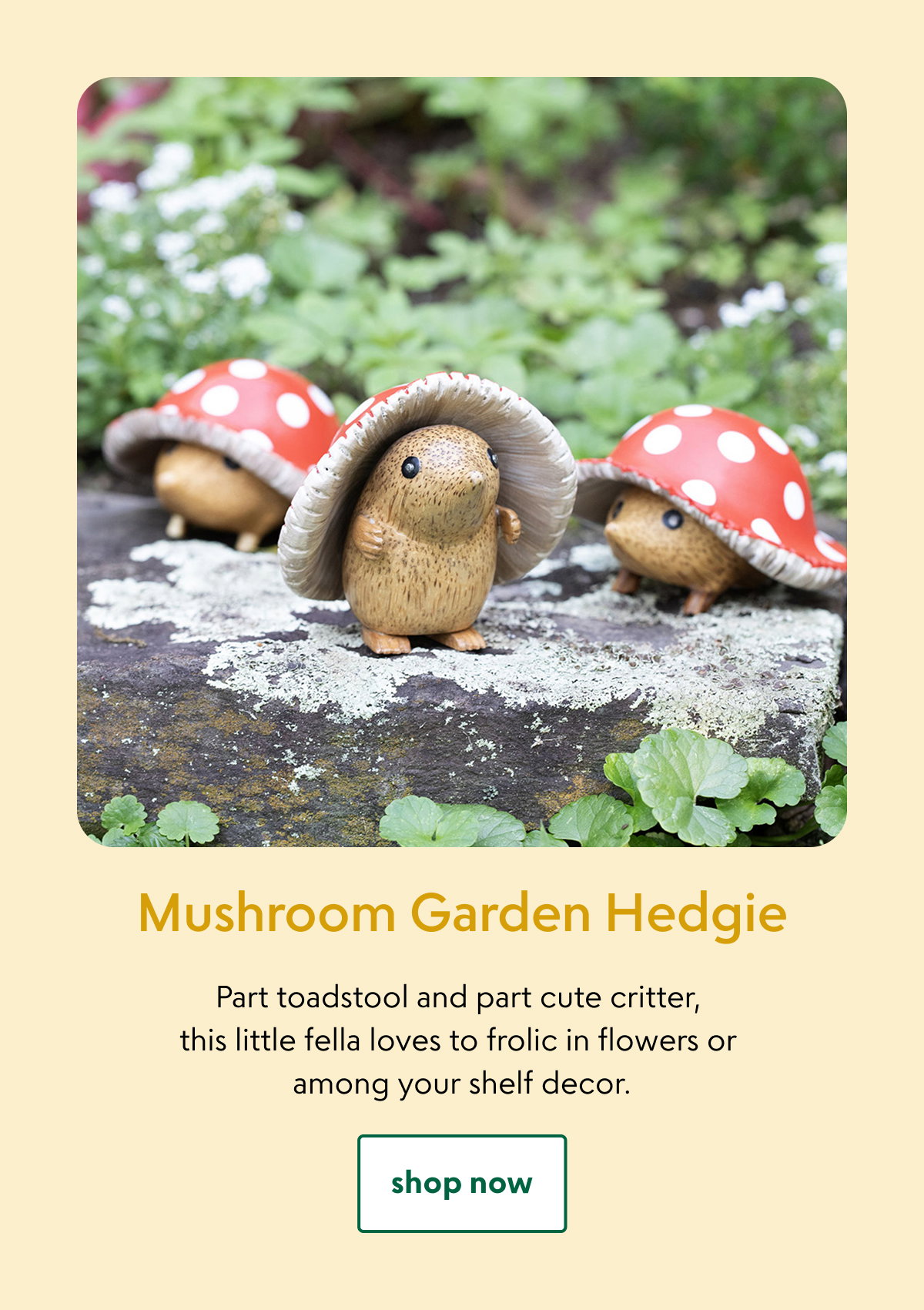 mushroom-garden-hedgie