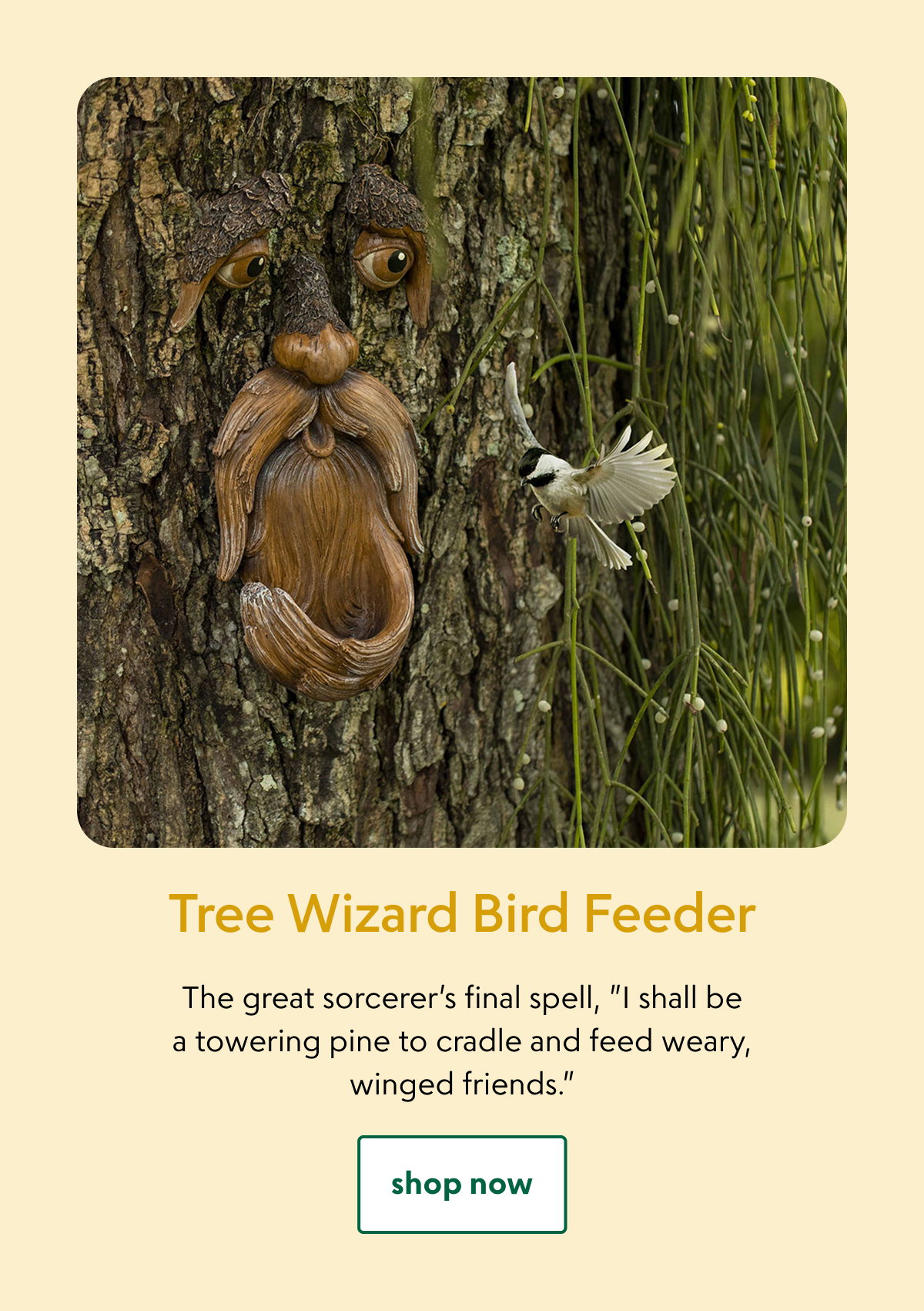 tree-wizard-bird-feeder