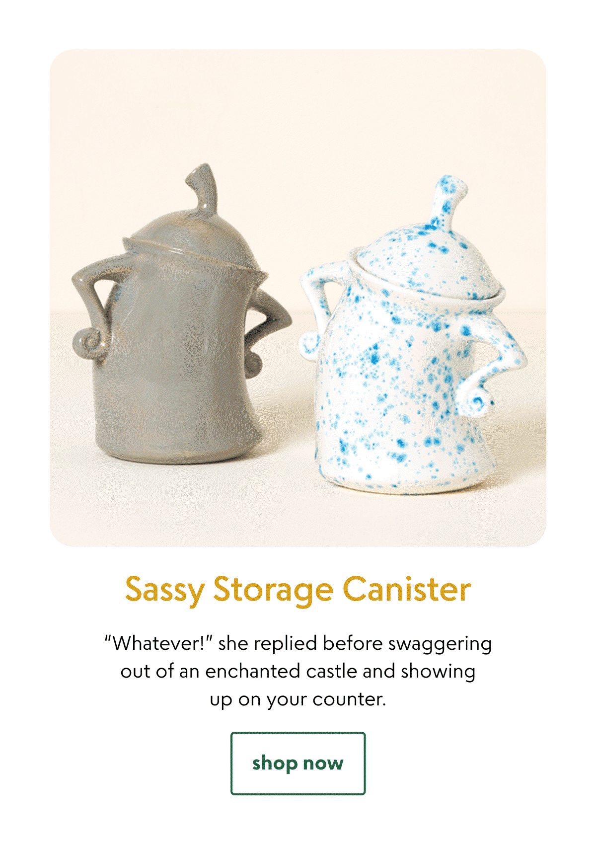 sassy-storage-canister
