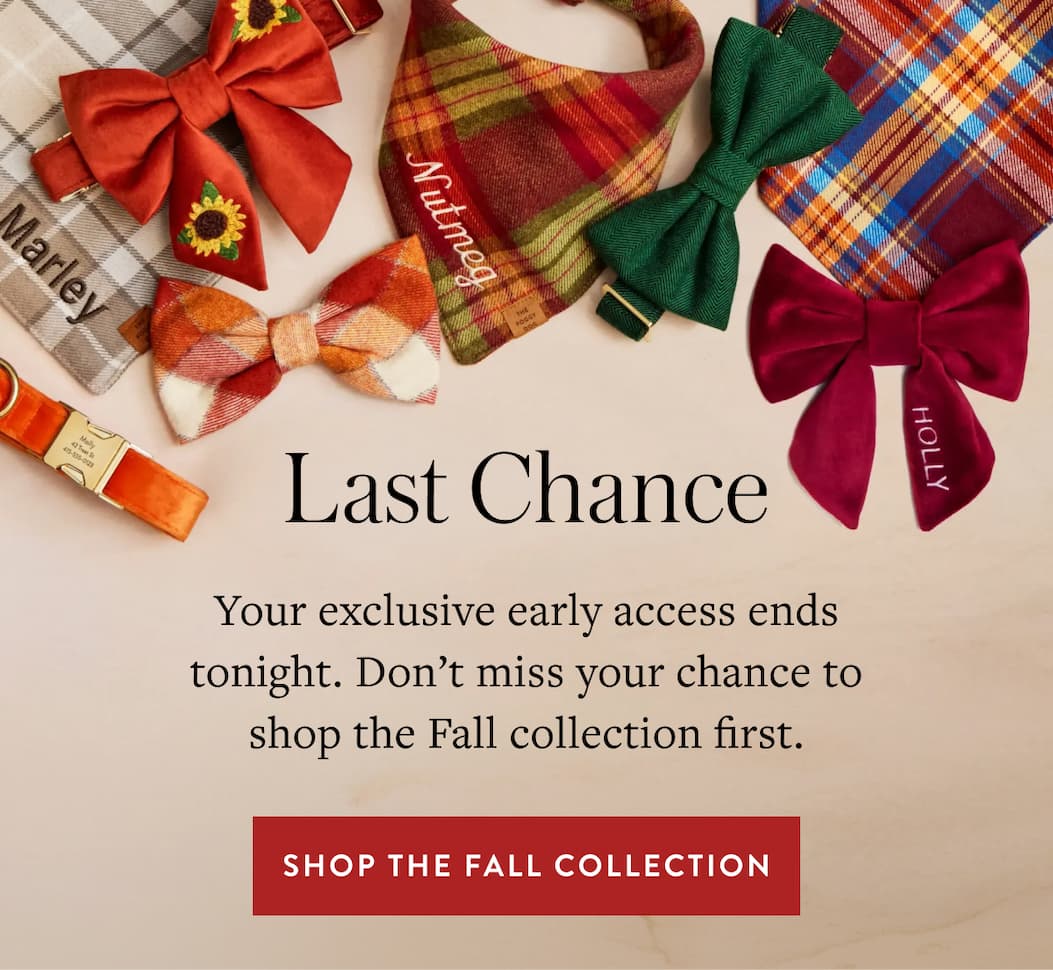Get Fall Early Access