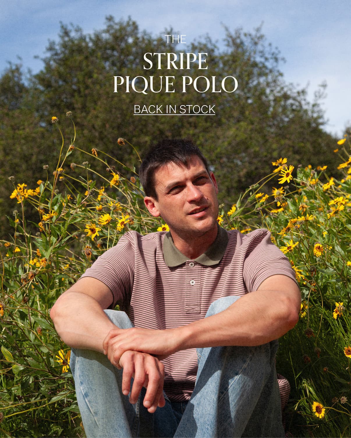 Stripe Pique Polo - Pink | [SHOP NOW]