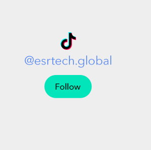 @esrtech.global