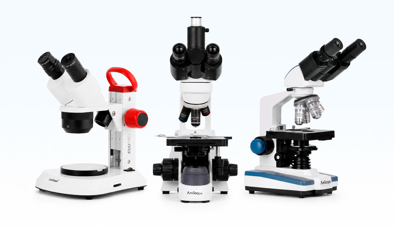 Back to School Microscopes