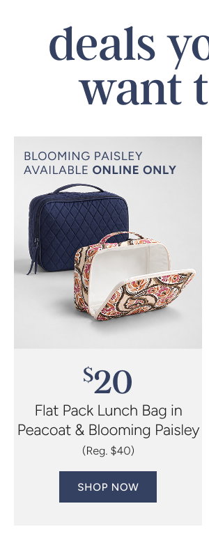 Flat Pack Lunch Bag $20* (reg. $40)