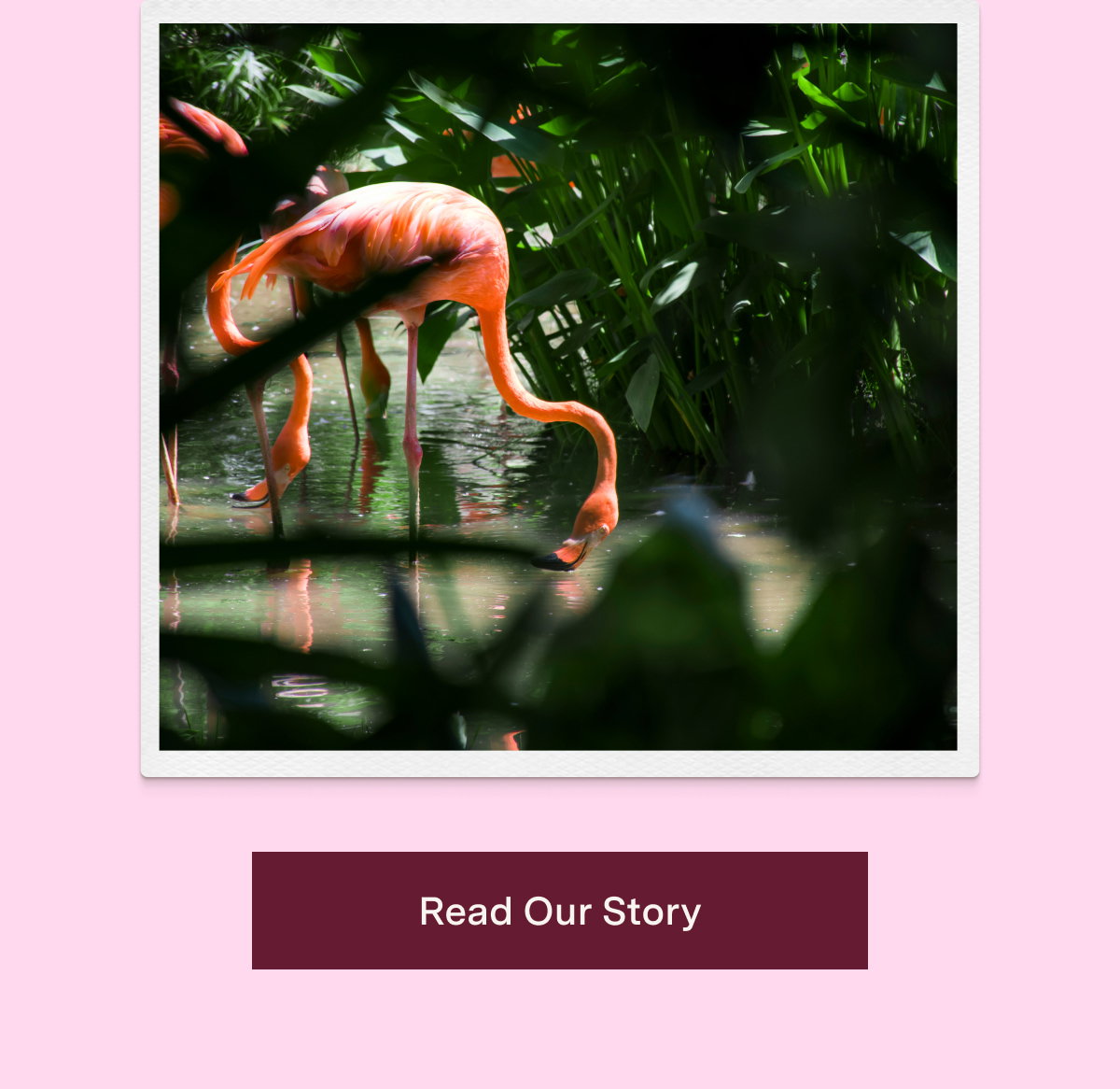 Read our Story