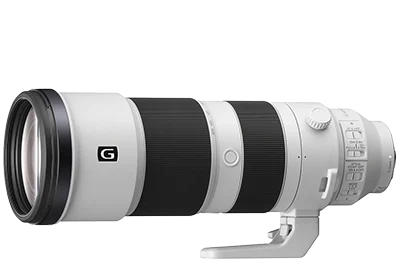 Sony FE 200-600mm f5.6-6.3 G OSS Lens