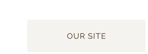 OUR SITE