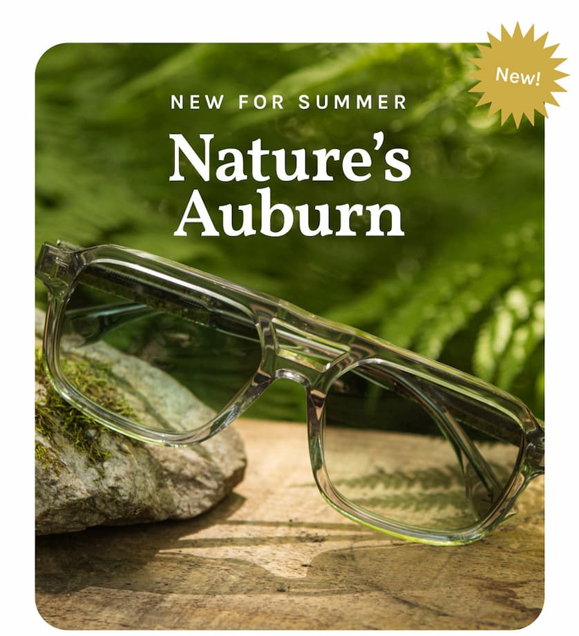 New Frame: The Auburn in Acetate