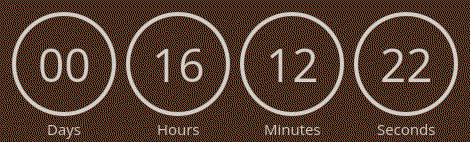 Timer from emailcountdowntimer.com