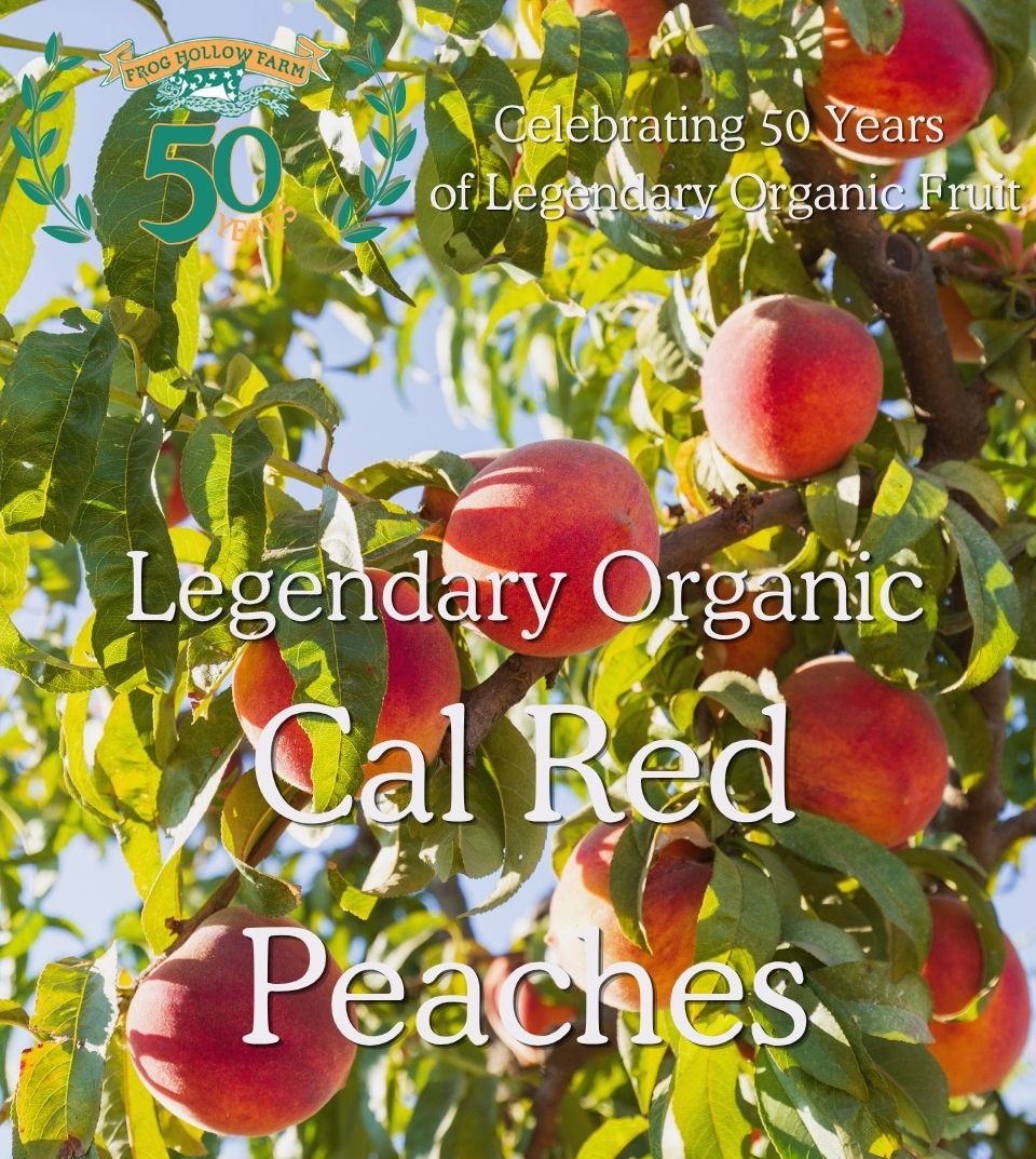 Organic peaches