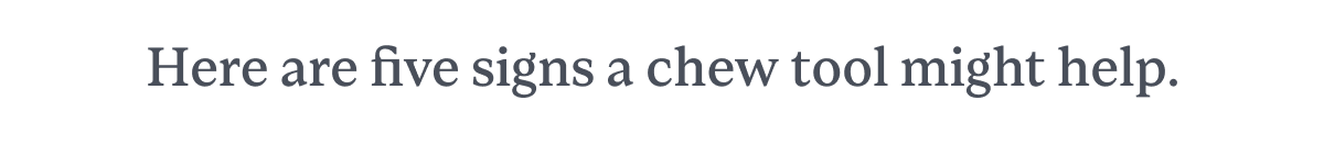 Here are five signs a chew tool might help.