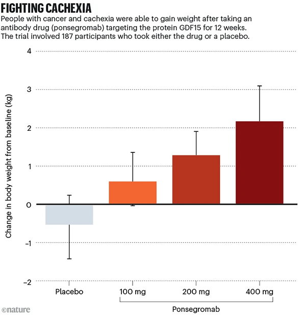 A graph showing the positive impact of the GDF15 inhibitor ponsegromab on weight gain in people with cancer cachexia during a 12-week clinical trial.