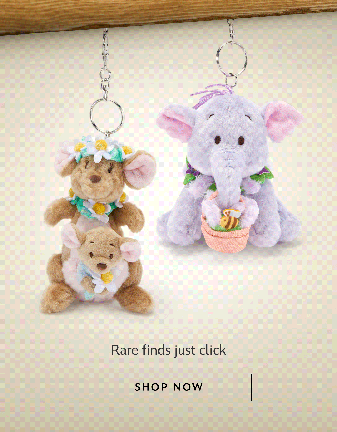 Eeyore thrives in direct sunlight. Rare finds just click | Shop Now
