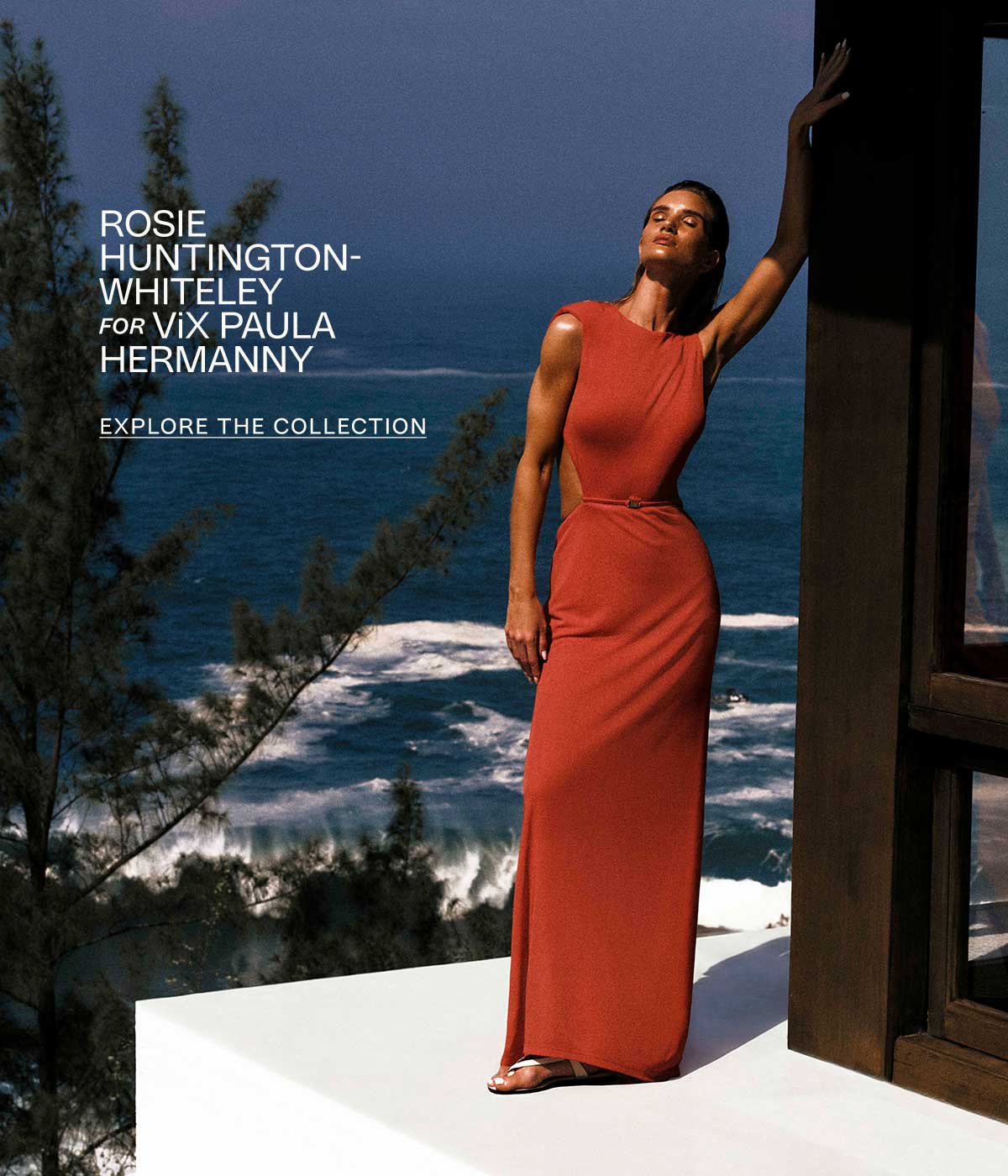 Explore the Collection