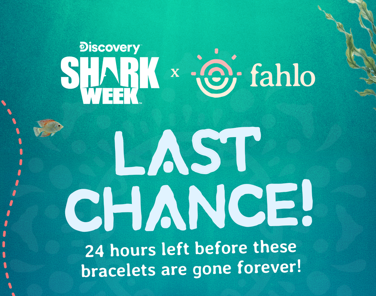 Last chance to track a hammerhead! 24 hours remaining.