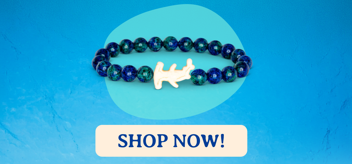 Track a real hammerhead while this offer lasts! Limited edition animal tracking bracelets are available now!