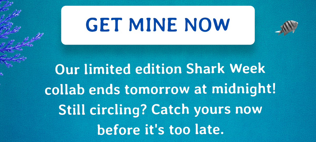 If you've been eyeing one of these bracelets, now is the time to stop waiting. 24 hours left before the Discovery Shark Week x Fahlo collab ends forever and limited stock is all that remains.