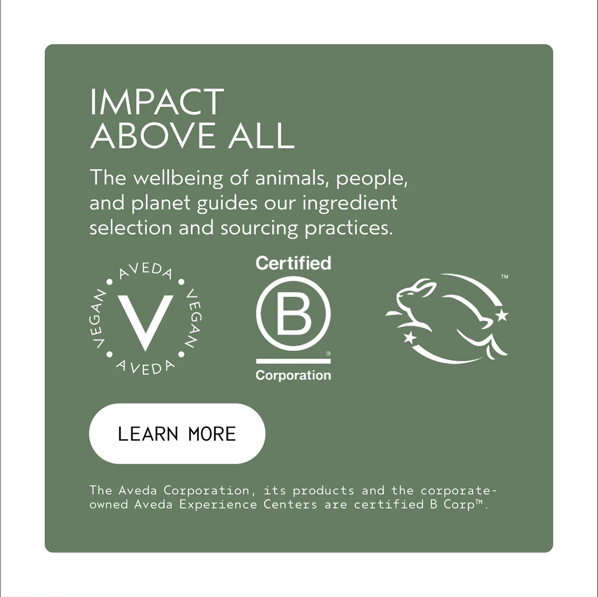 IMPACT ABOVE ALL | The wellbeing of animals, people, and planet guides our ingredient selection and sourcing practices. | LEARN MORE | The Aveda Corporation, its products and the corporate-owned Aveda Experience Centers are certified B Corp™.