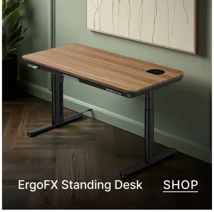 ergo fx standing desk