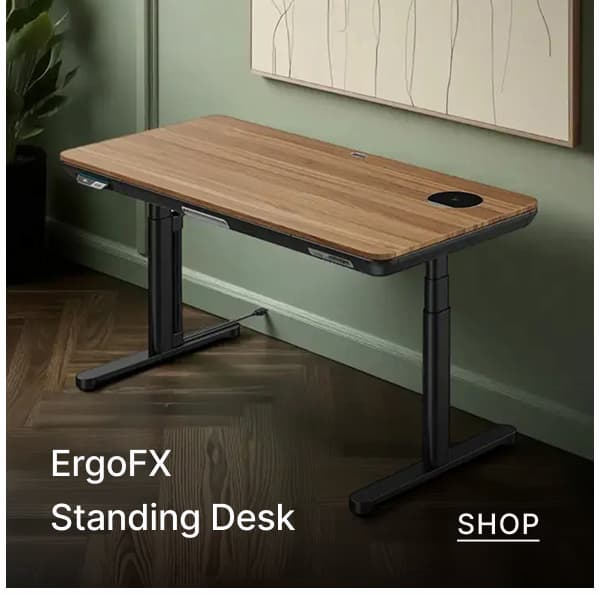 ergo fx standing desk