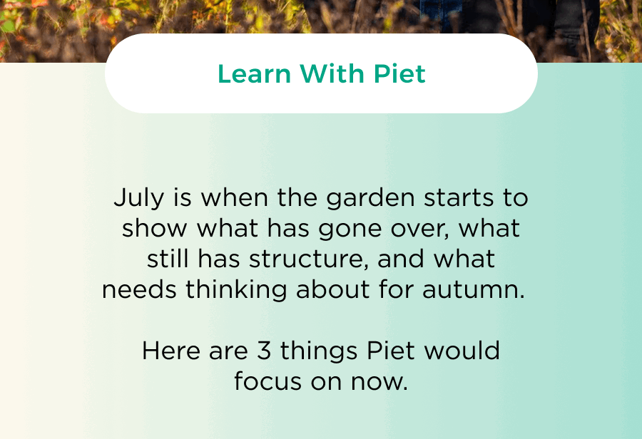 Learn with Piet
