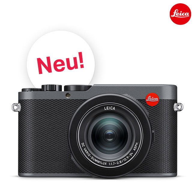 Leica D-Lux 8 metallgrau