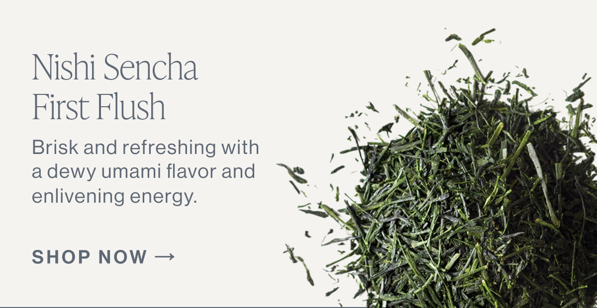 Nishi Sencha First Flush