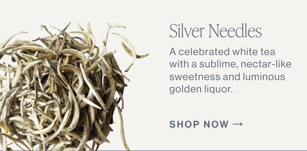 Silver Needle
