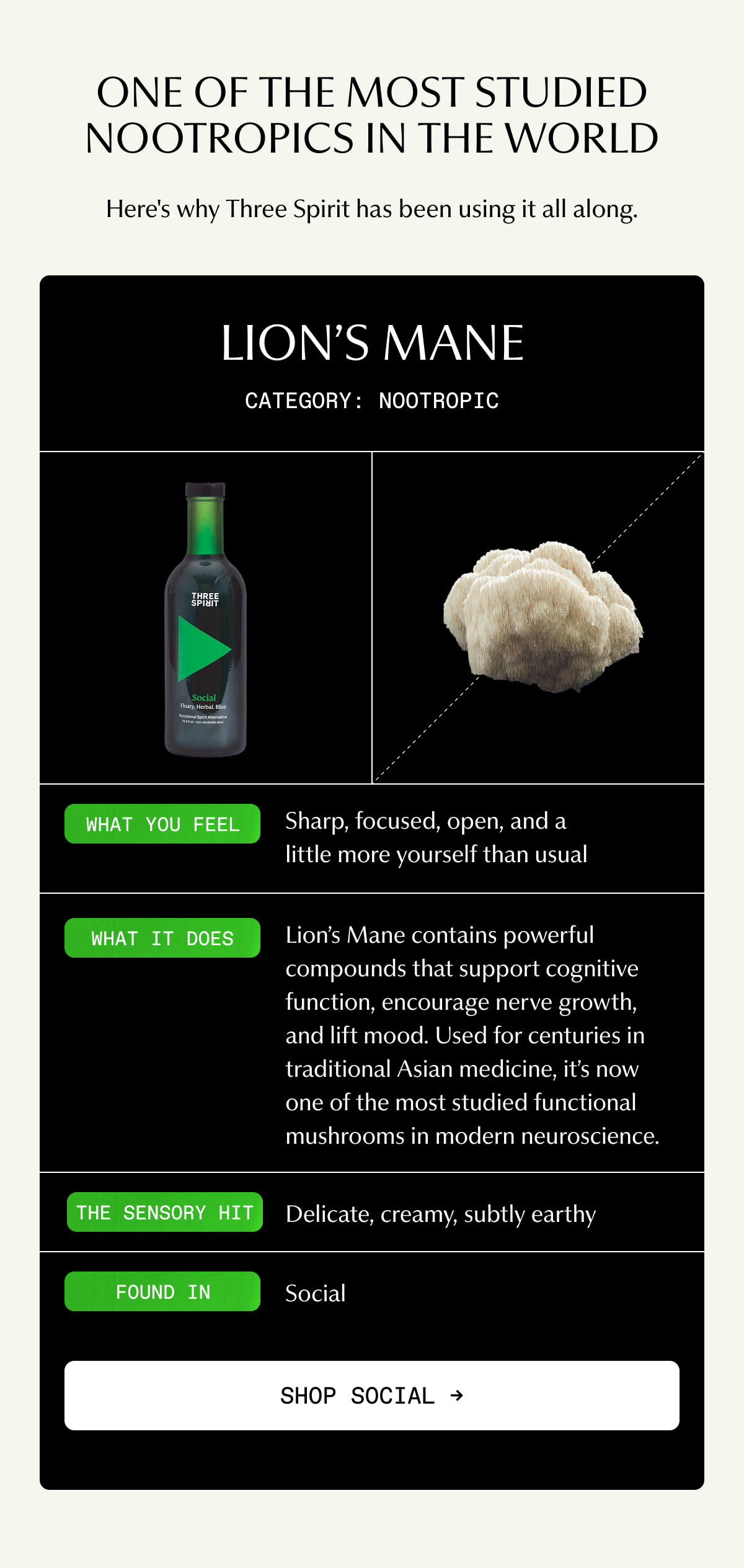 ONE OF THE MOST STUDIED NOOTROPICS IN THE WORLD | Here's why Three Spirit has been using it all along. | LION'S MANE | CATEGORY: NOOTROPIC | What you feel: Sharp, focused, open, and a little more yourself than usual | What it does: Lion’s Mane contains powerful compounds that support cognitive function, encourage nerve growth, and lift mood. Used for centuries in traditional Asian medicine, it’s now one of the most studied functional mushrooms in modern neuroscience. | The sensory hit: Delicate, creamy, subtly earthy | Found in Social | [ SHOP SOCIAL ]