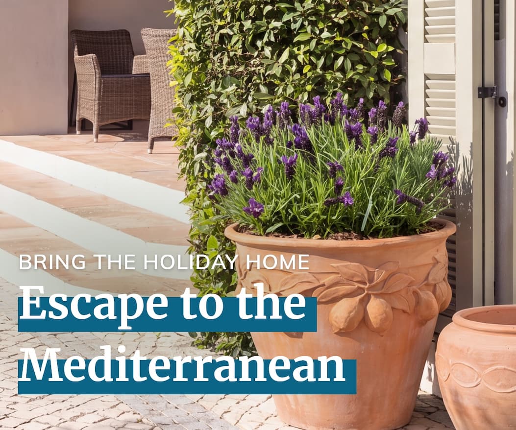 Keep the garden in full colour 