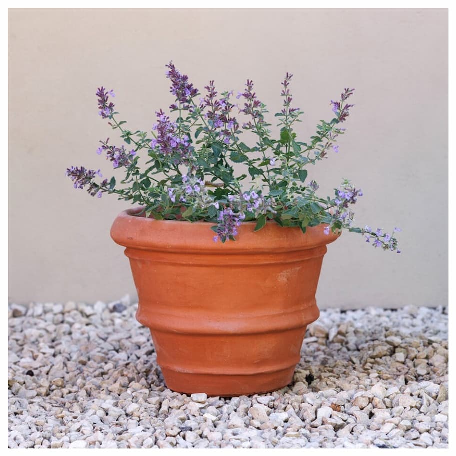 Terracotta Rolled Rim Round Planter