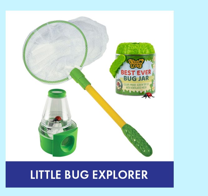 Little Bug Explorer