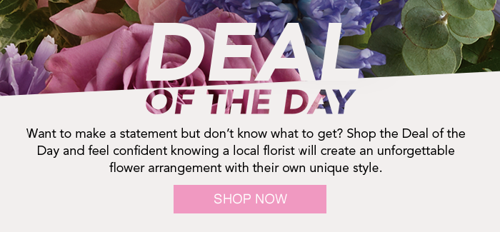 Deal of the Day