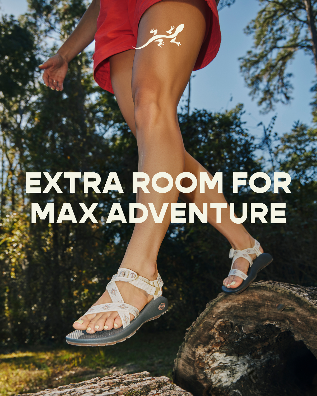 Chaco. EXTRA ROOM FOR MAX ADVENTURE.