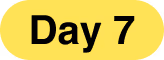 Day 7