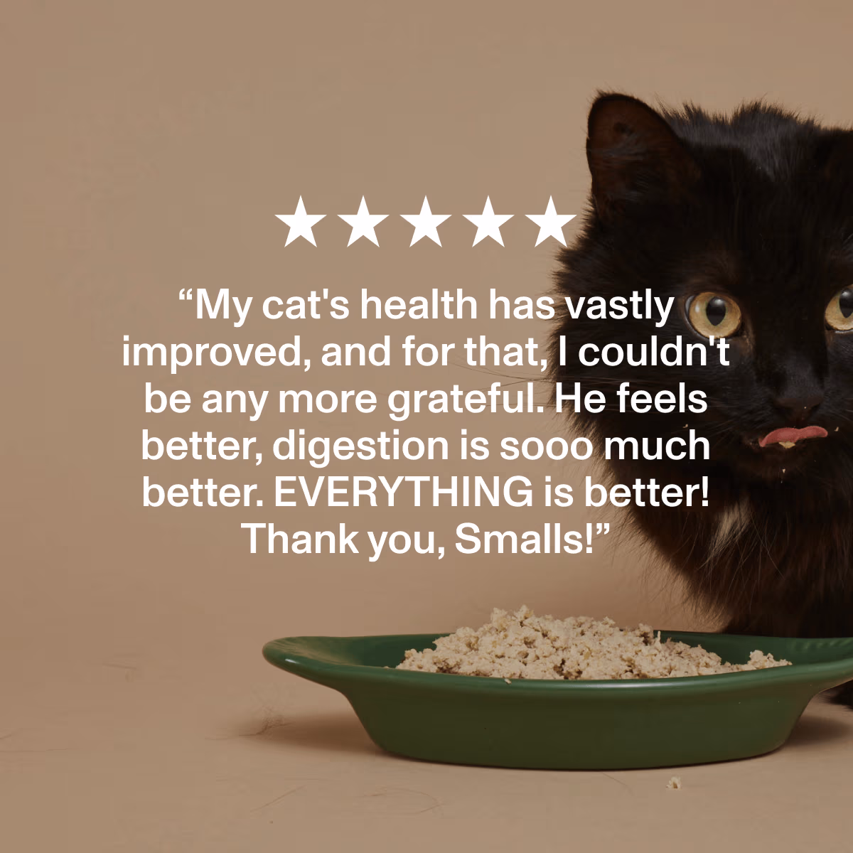 ★★★★★ - “My cat's health has vastly improved, and for that, I couldn't be any more grateful. He feels better, digestion is sooo much better. EVERYTHING is better! Thank you, Smalls!”