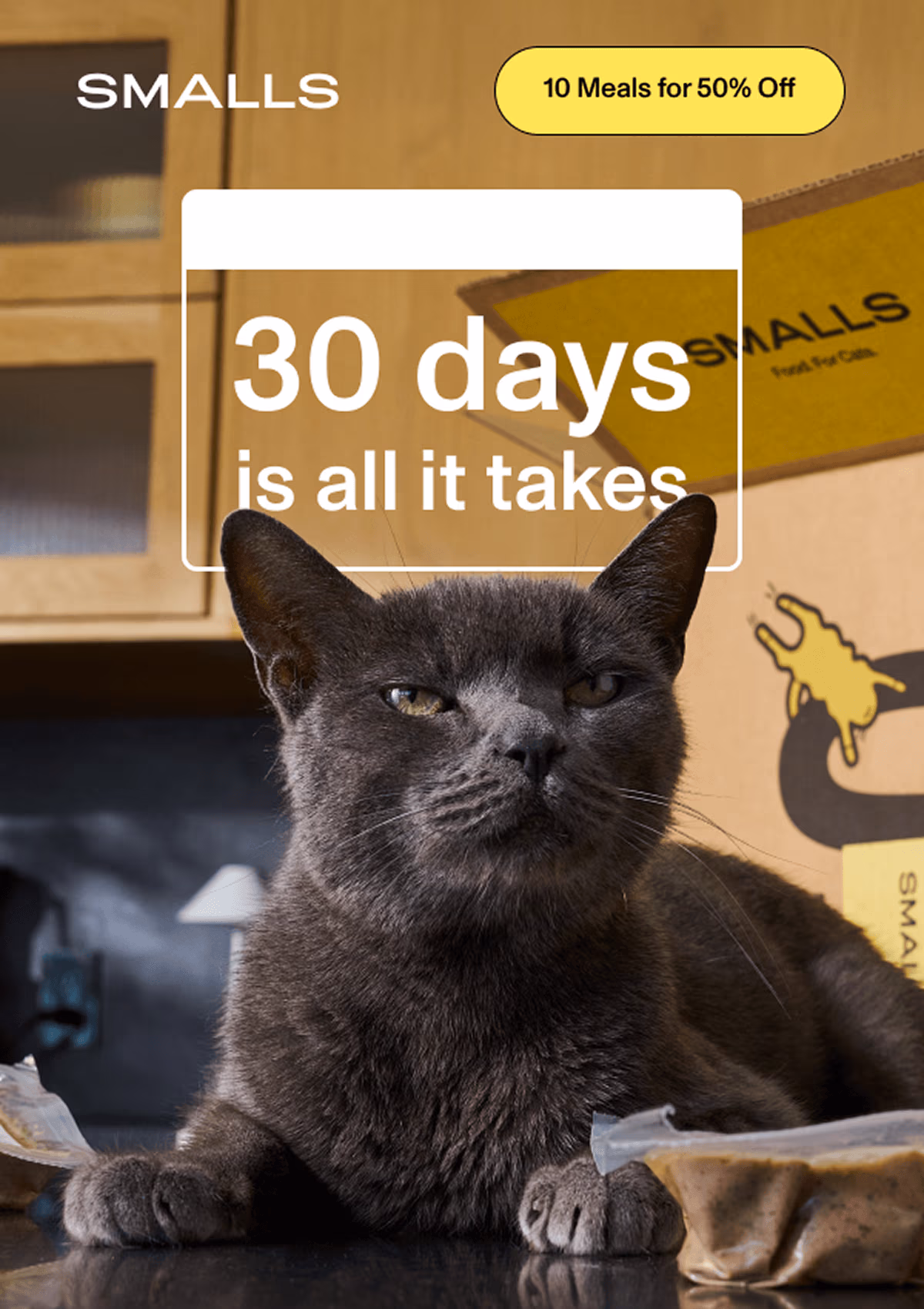Smalls - 30 days is all it takes. Get 10 meals for 50% Off.