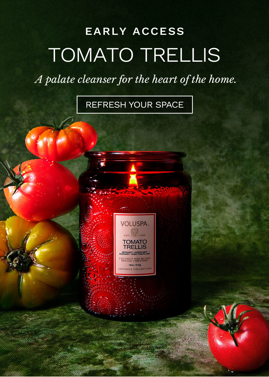 Early Access Tomato Trellis