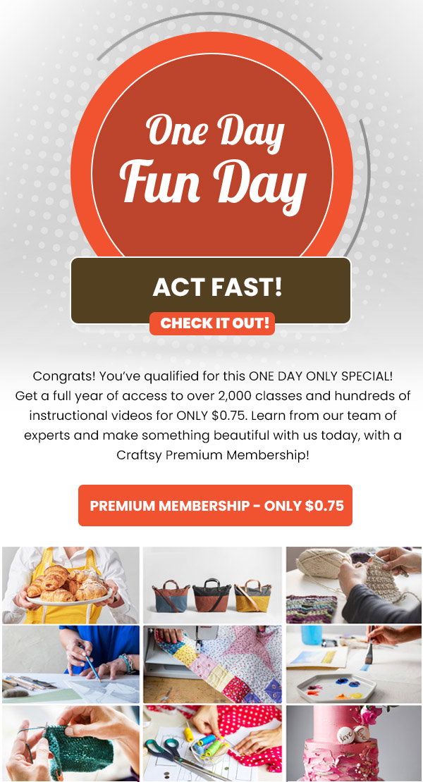 One Day Fun Day Special