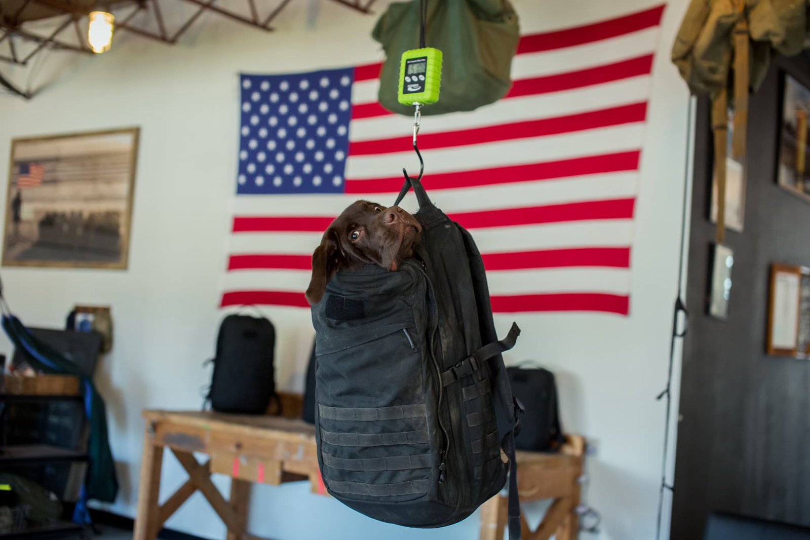Monster, President, GORUCK Nation