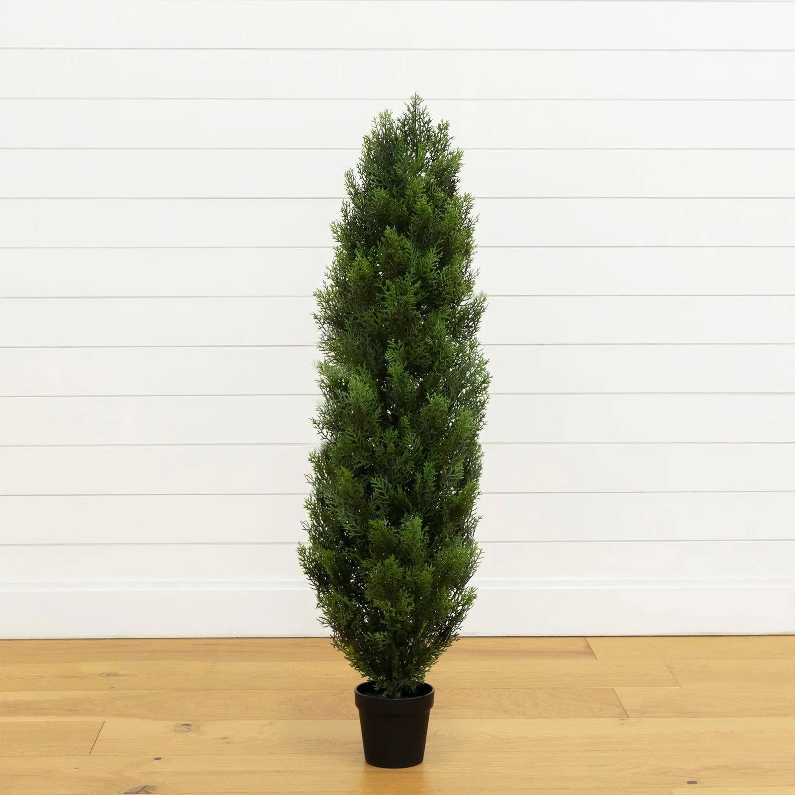 Image of 4' Cedar Tree Silk Tree (Indoor/Outdoor)