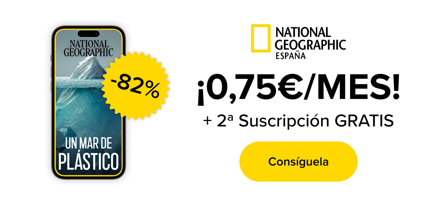 OFERTA VERANO