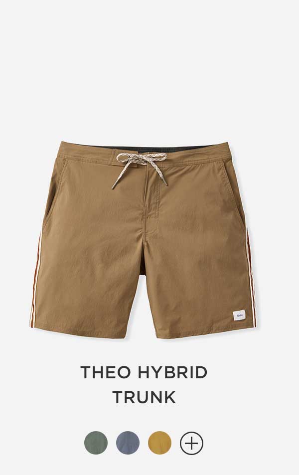 Theo Hybrid Trunk