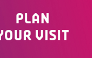 Plan Your Visit