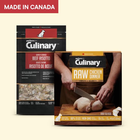 Performatrin Culinary Dog Food 